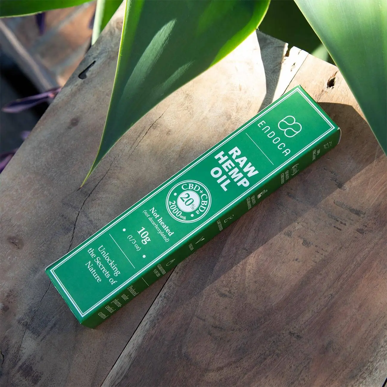 what-are-cbd-extracts.webp