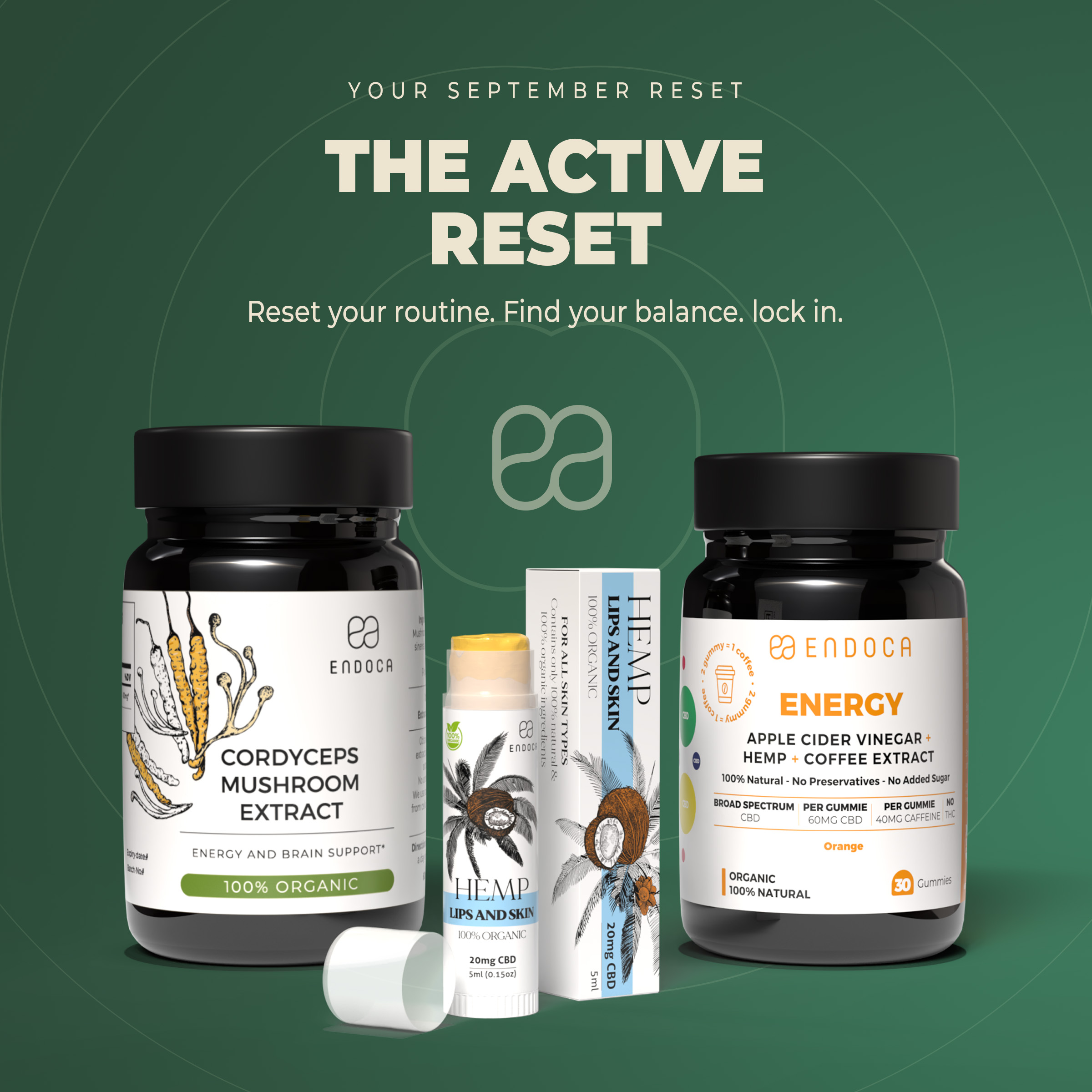 2-1_Active-reset.jpg