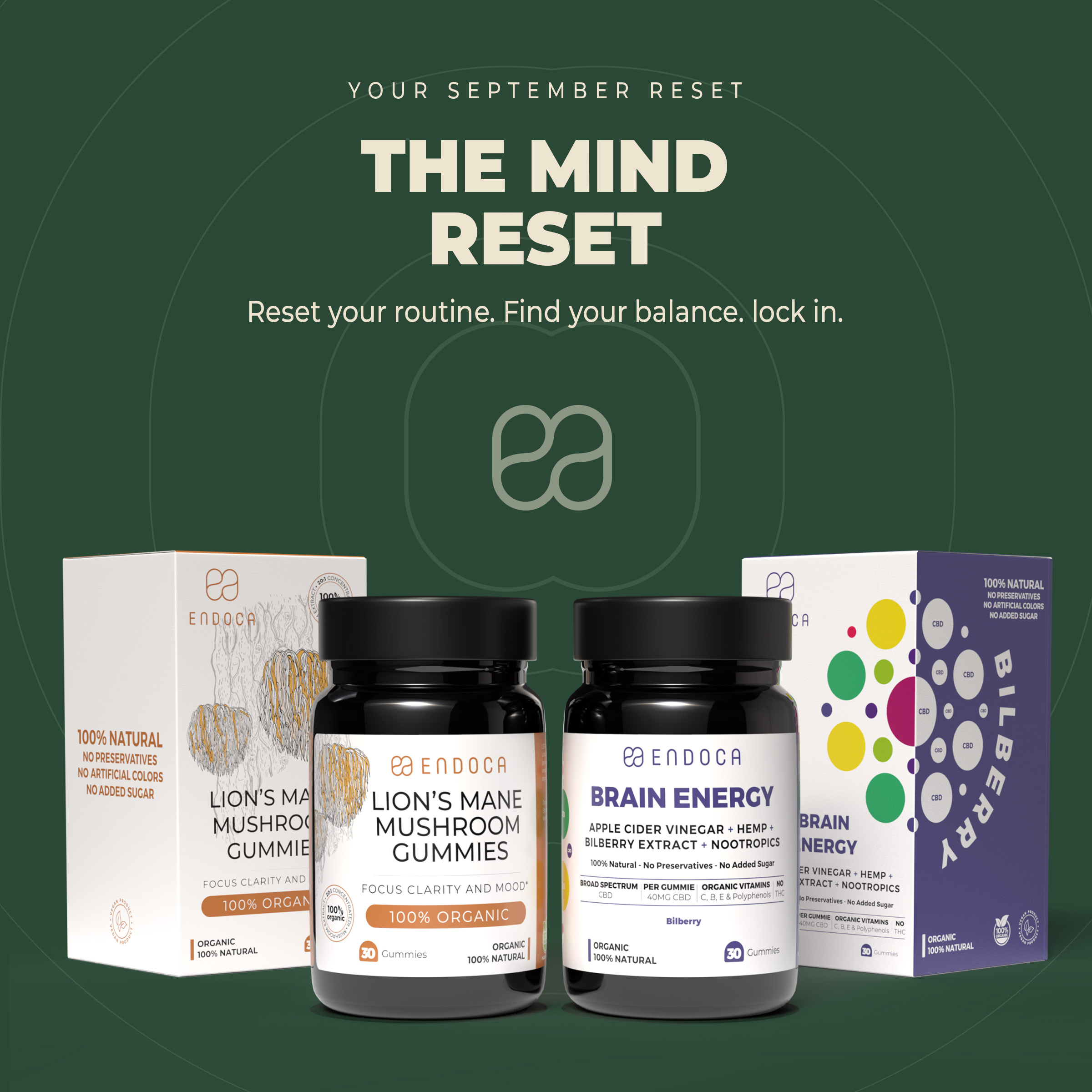 4-1_Mind-Reset.jpg