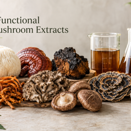 functional-mushroom-extracts-and-how-each-is-made