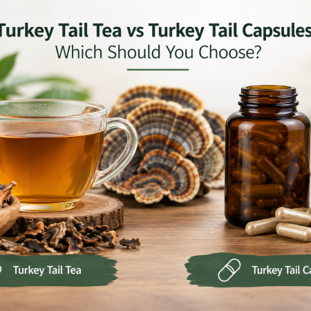 turkey-tail-tea-vs-capsules-which-should-you-choose