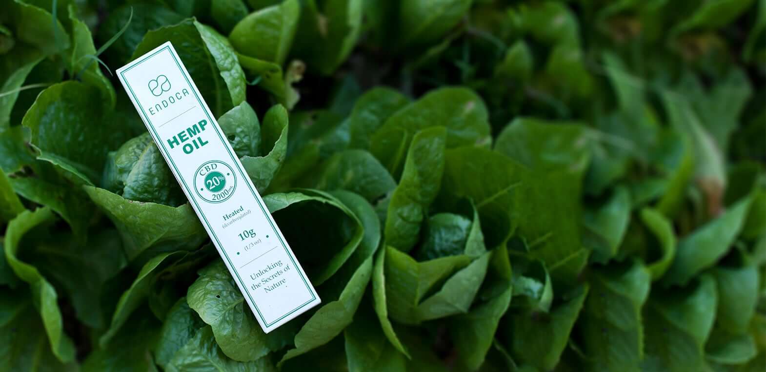olej cbd w naturze