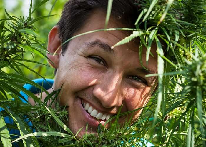 henry smiling in hemp