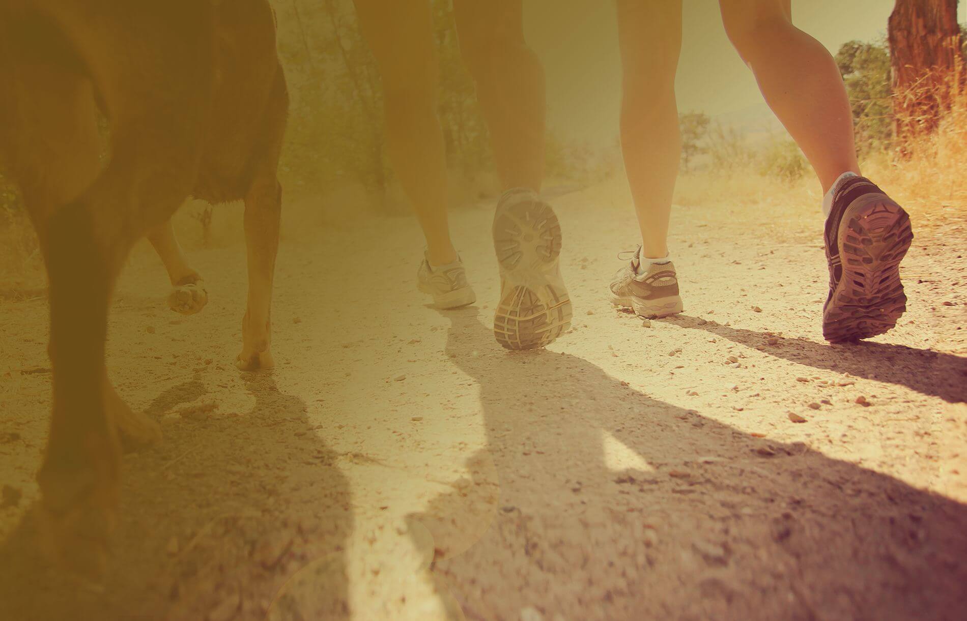 people and dog walking