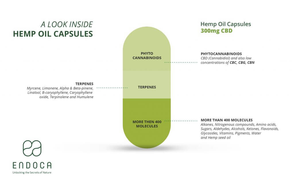 capsules infographic