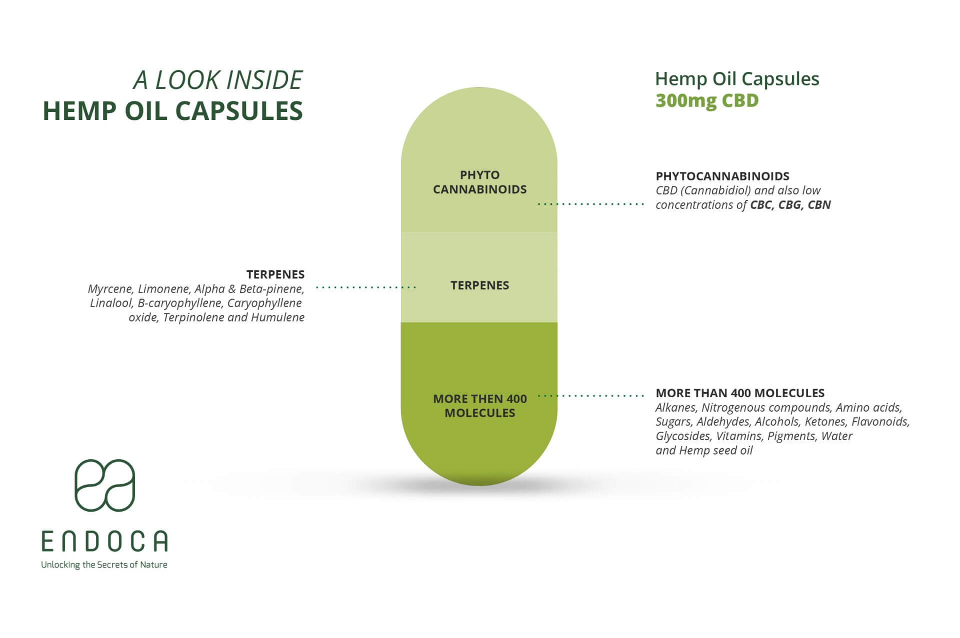 capsules infographic