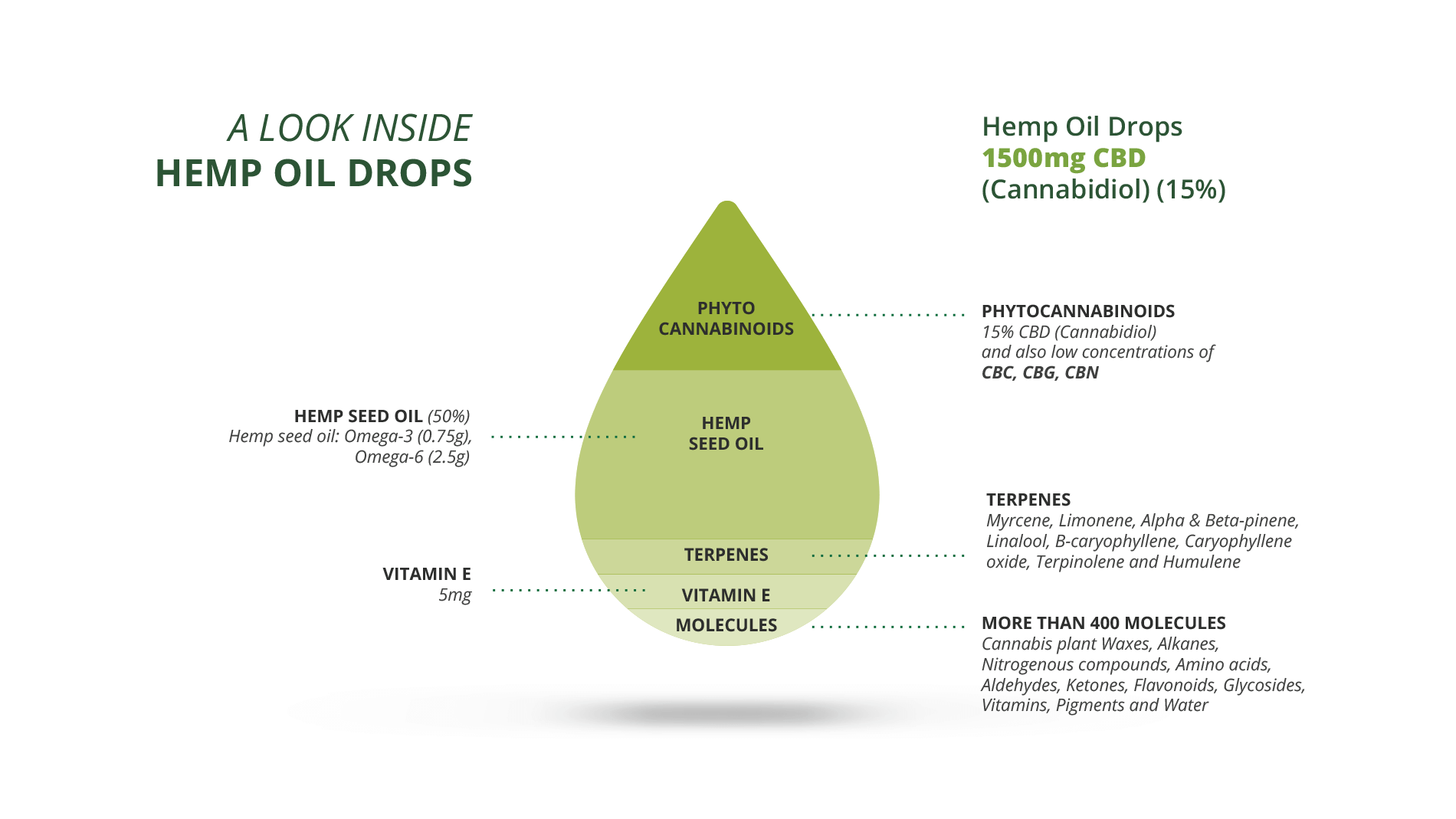 cbd oil infographic