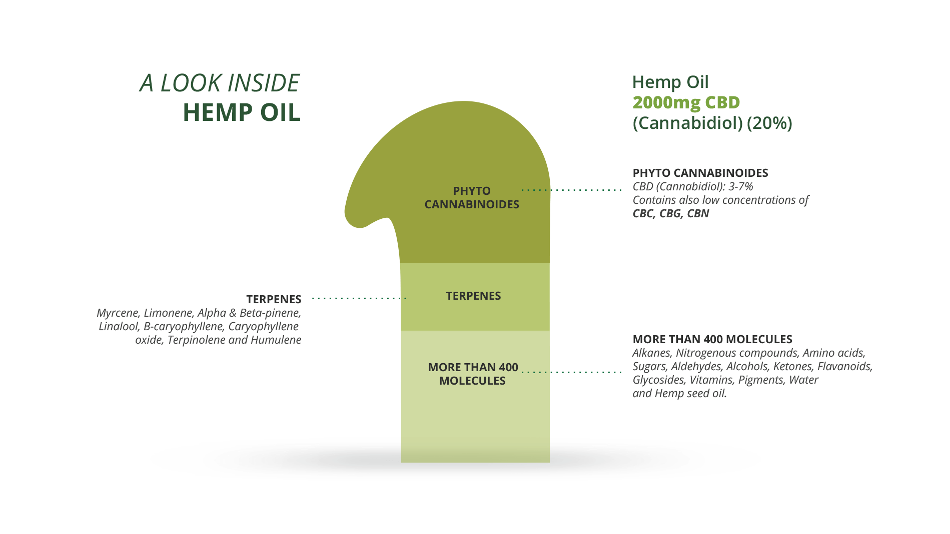 infographic cbd extract