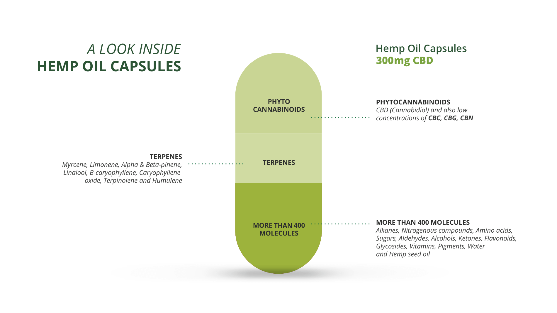 infographic cbd capsules