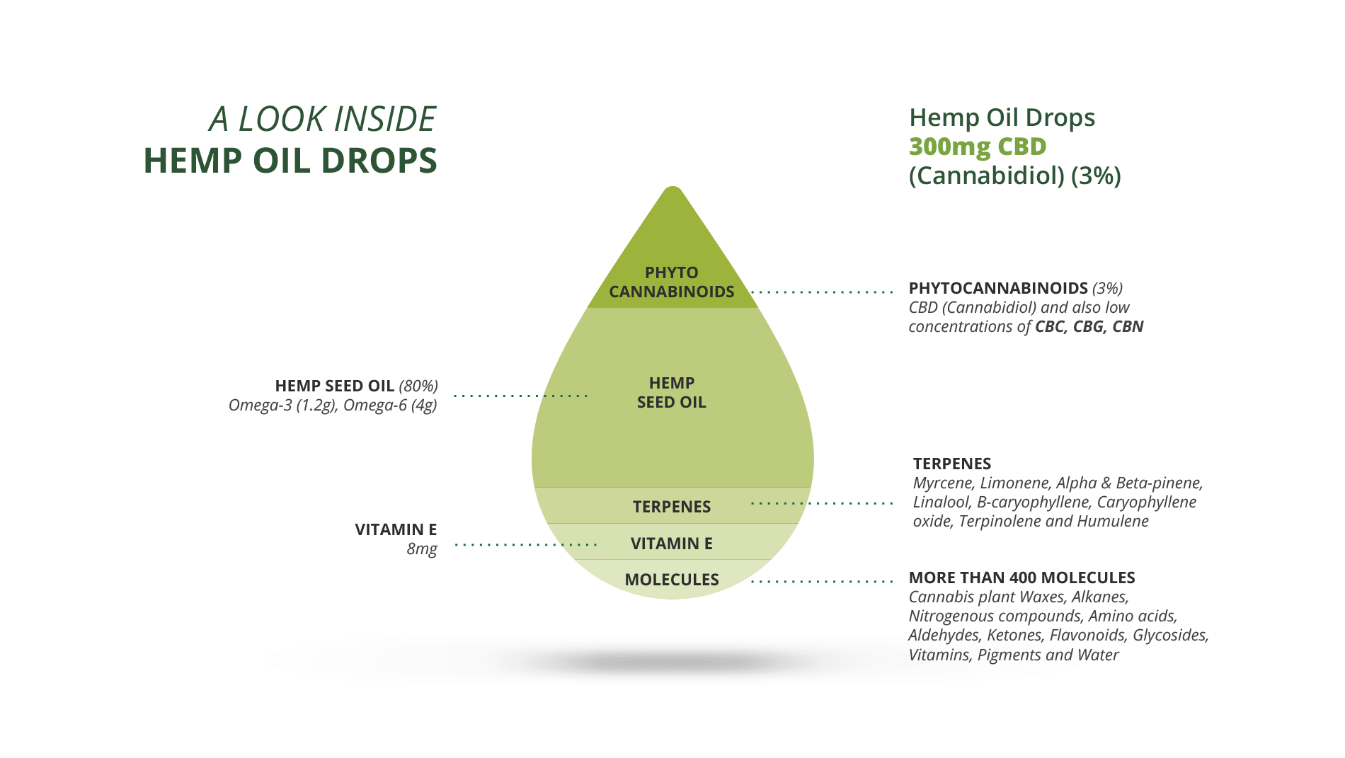 cbd oil infographic