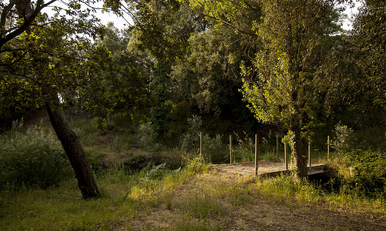 farm