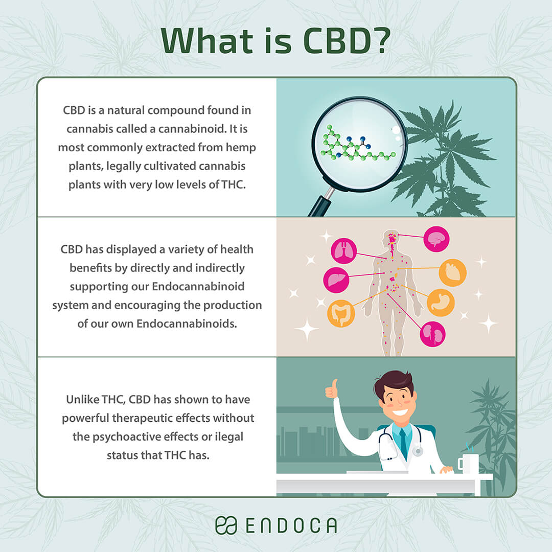 What is CBD infographic