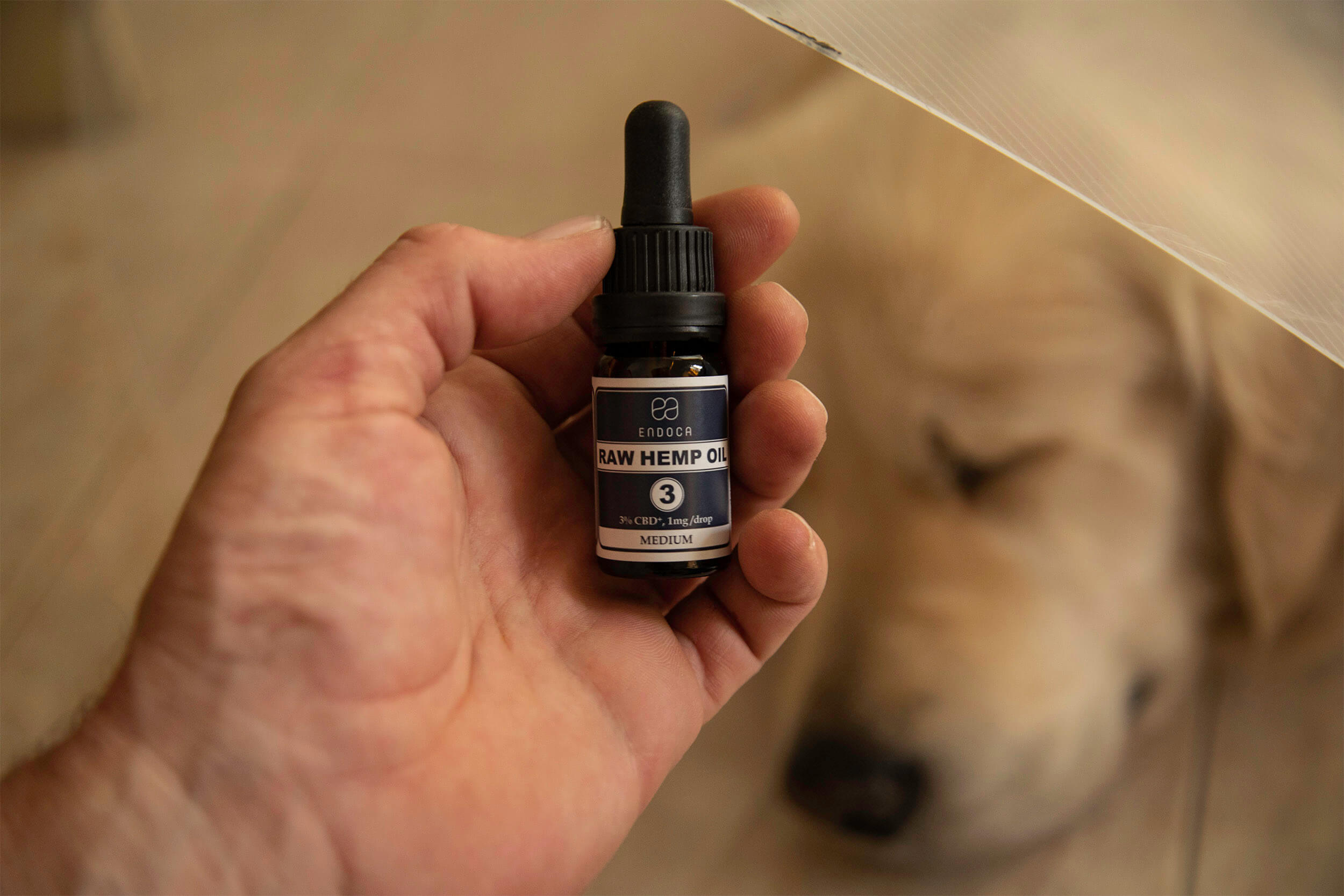 CBD for dogs