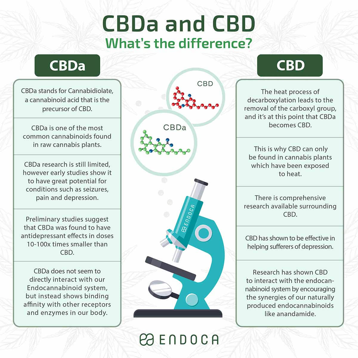 CBD vs CBDa infographic