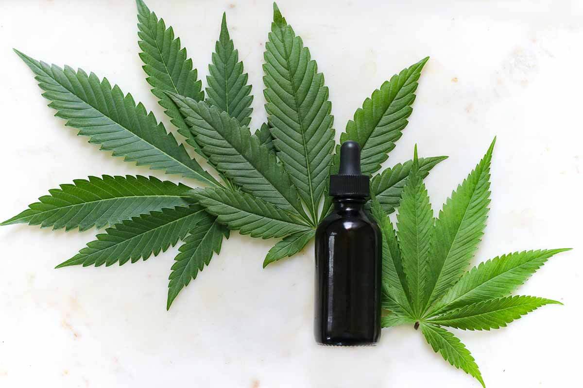 is CBD oil the same as hemp oil