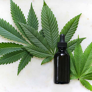 hemp oil vs cbd oil