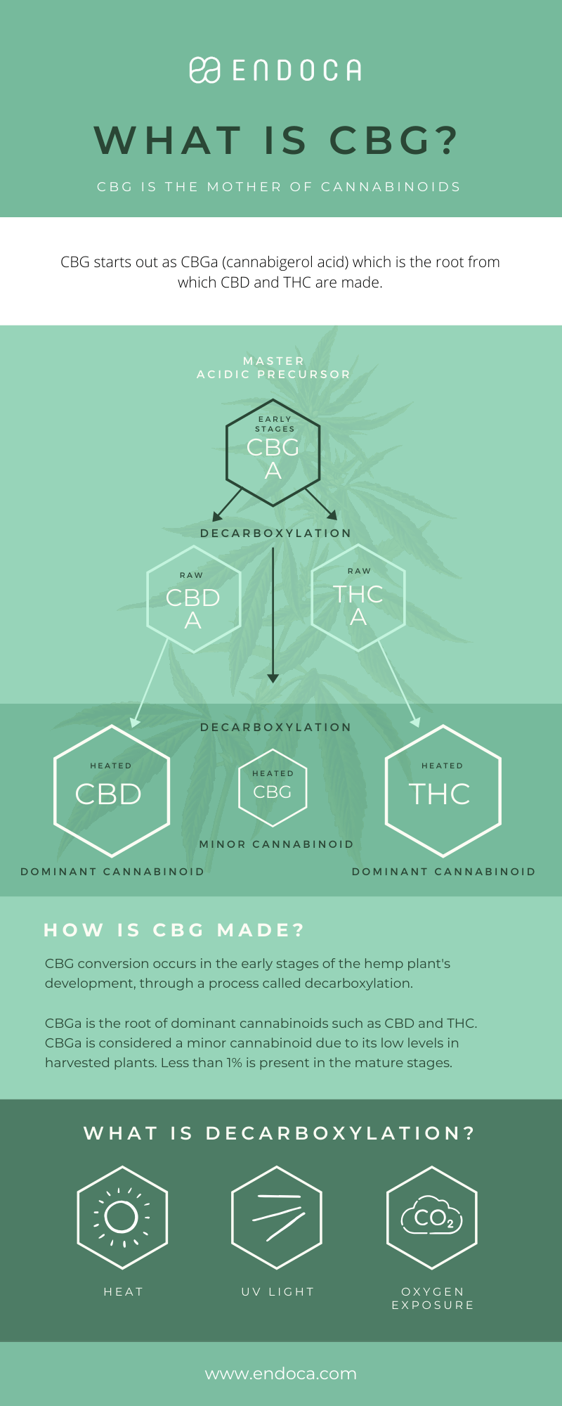 CBD vs CBG