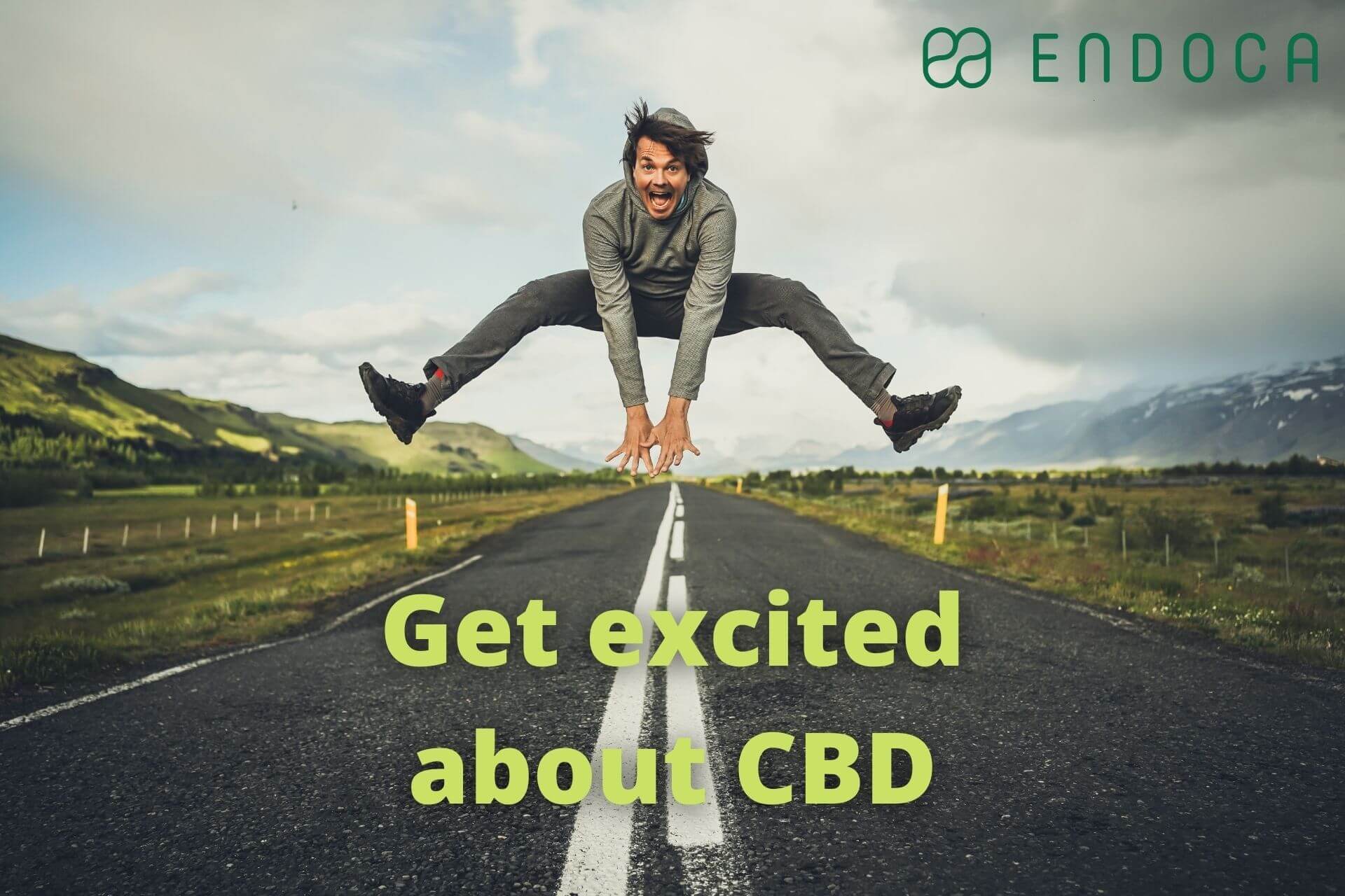 CBD experts roundup