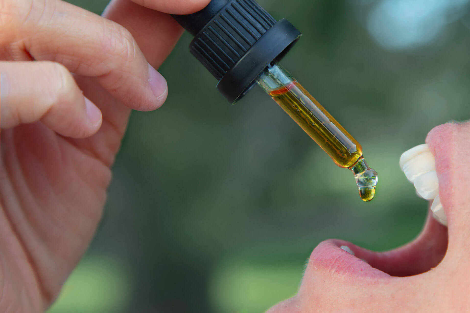 Absorb CBD Oil under the tongue