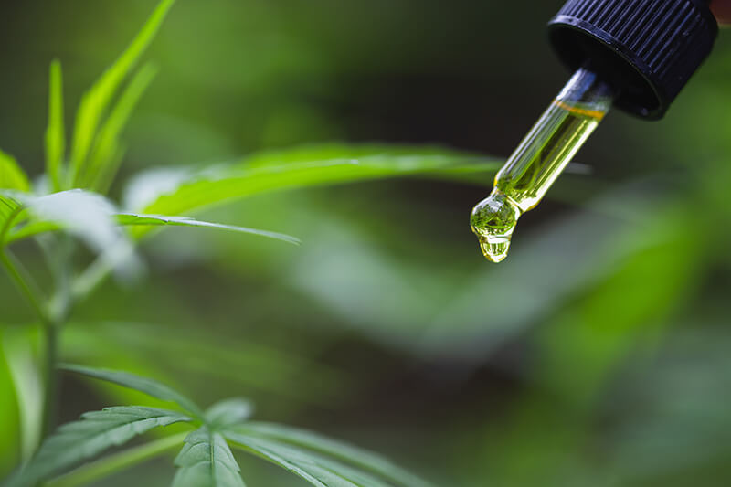 CBD facts- CBD oil dropper with hemp plants 