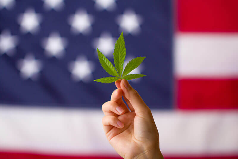 CBD fact-Hemp leaf in front of an American flag. Hemp is legal at a federal level in the USA, put not legal in Idaho, Iowa, and South Dakota 