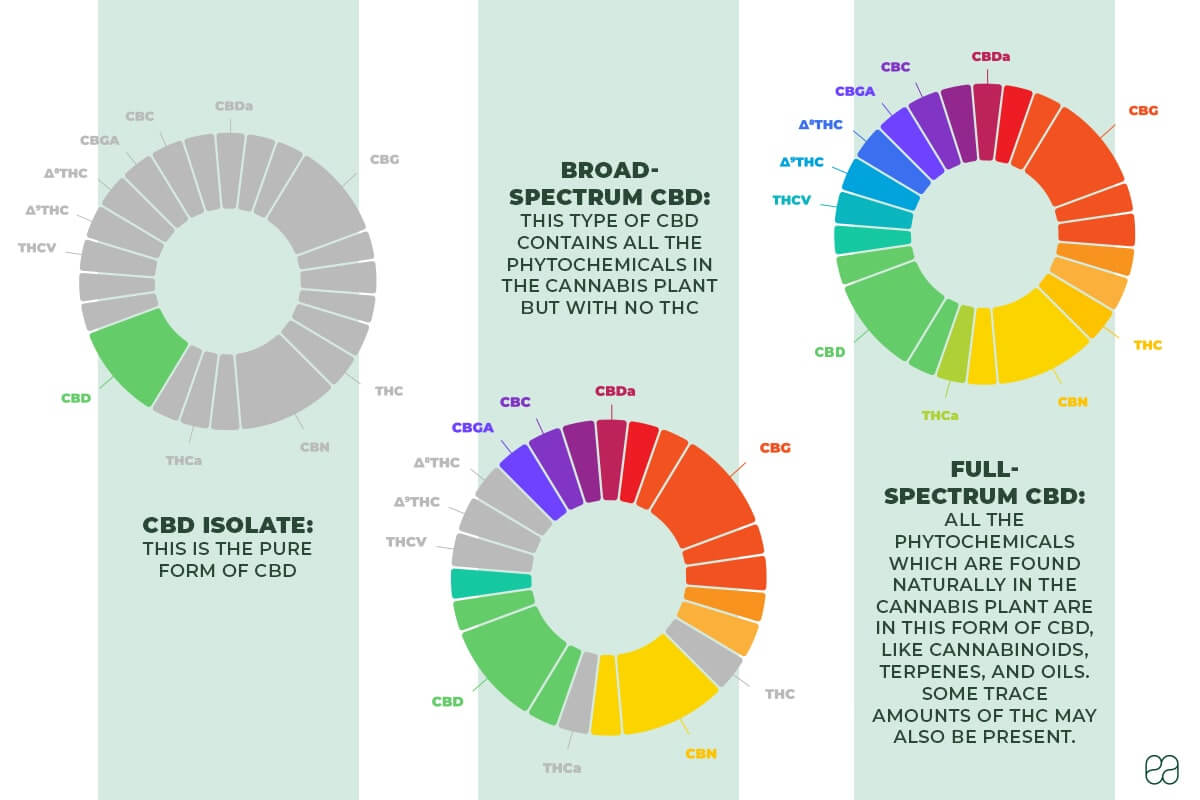 Diagram of differences between CBD isolate, Broad-spectrum CBD, and full-spectrum CBD