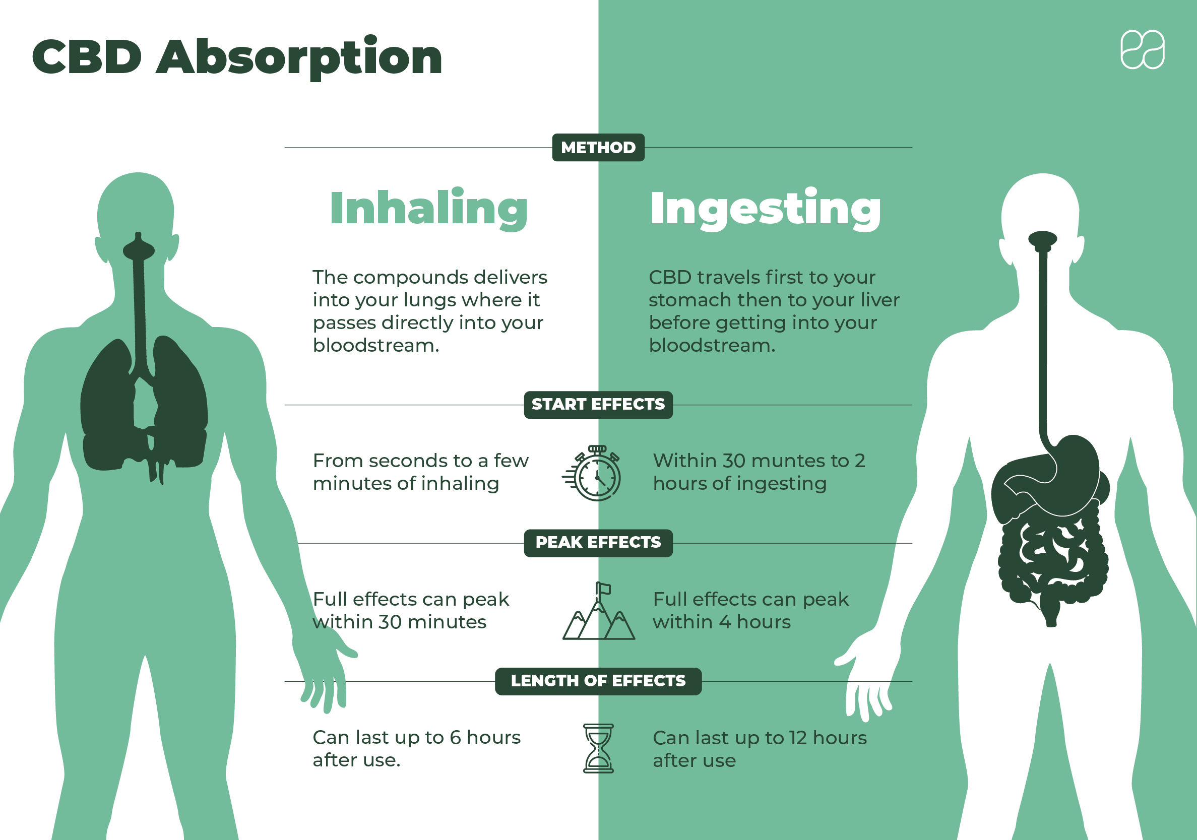infographic on difference of CBD absorption between inhaling and ingesting 