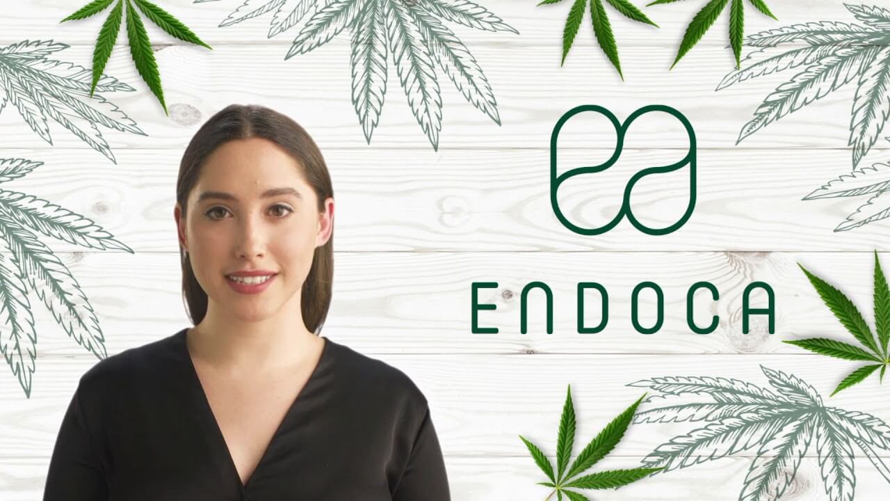 endoca banner