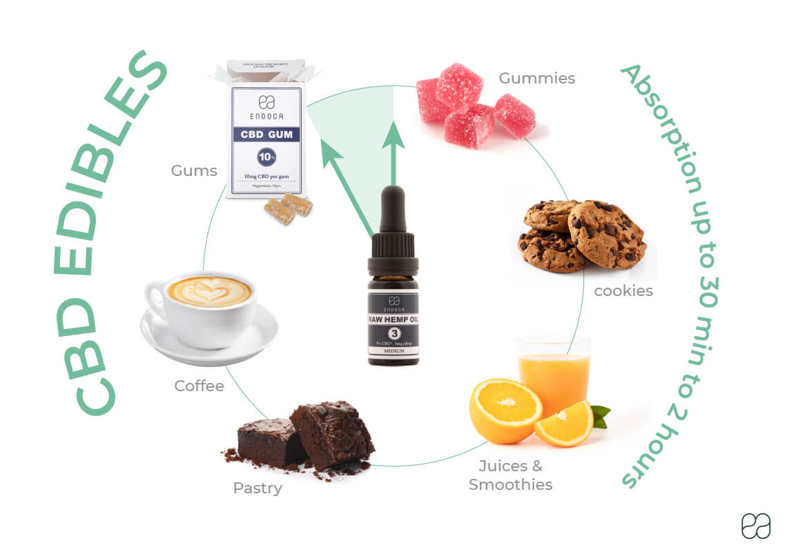 Infographic of CBD edibles on absorption rate 