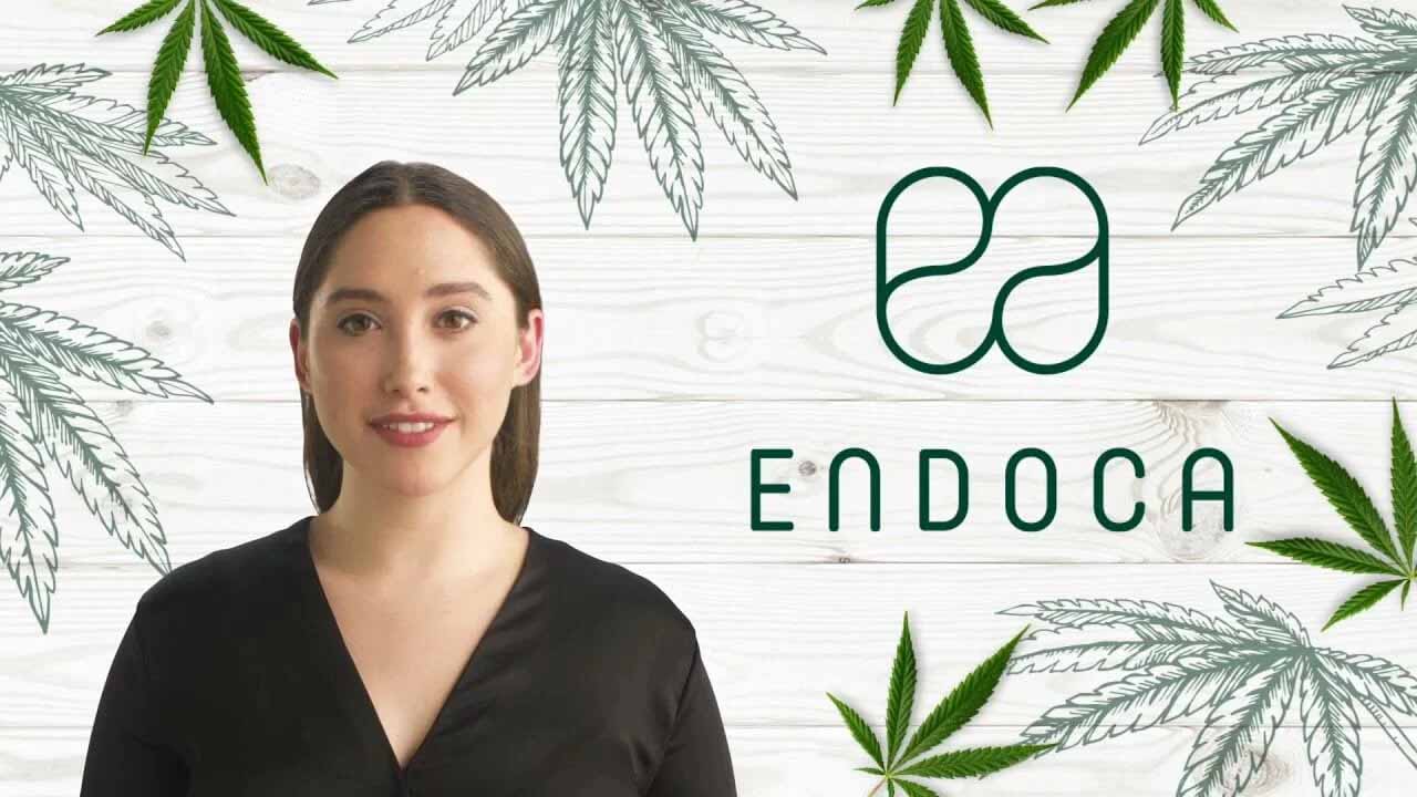 endoca banner