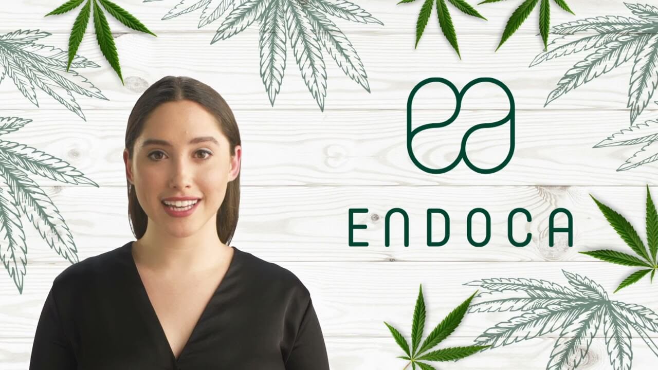 endoca banner