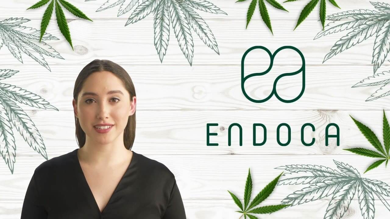 Video about CBD Oil effects