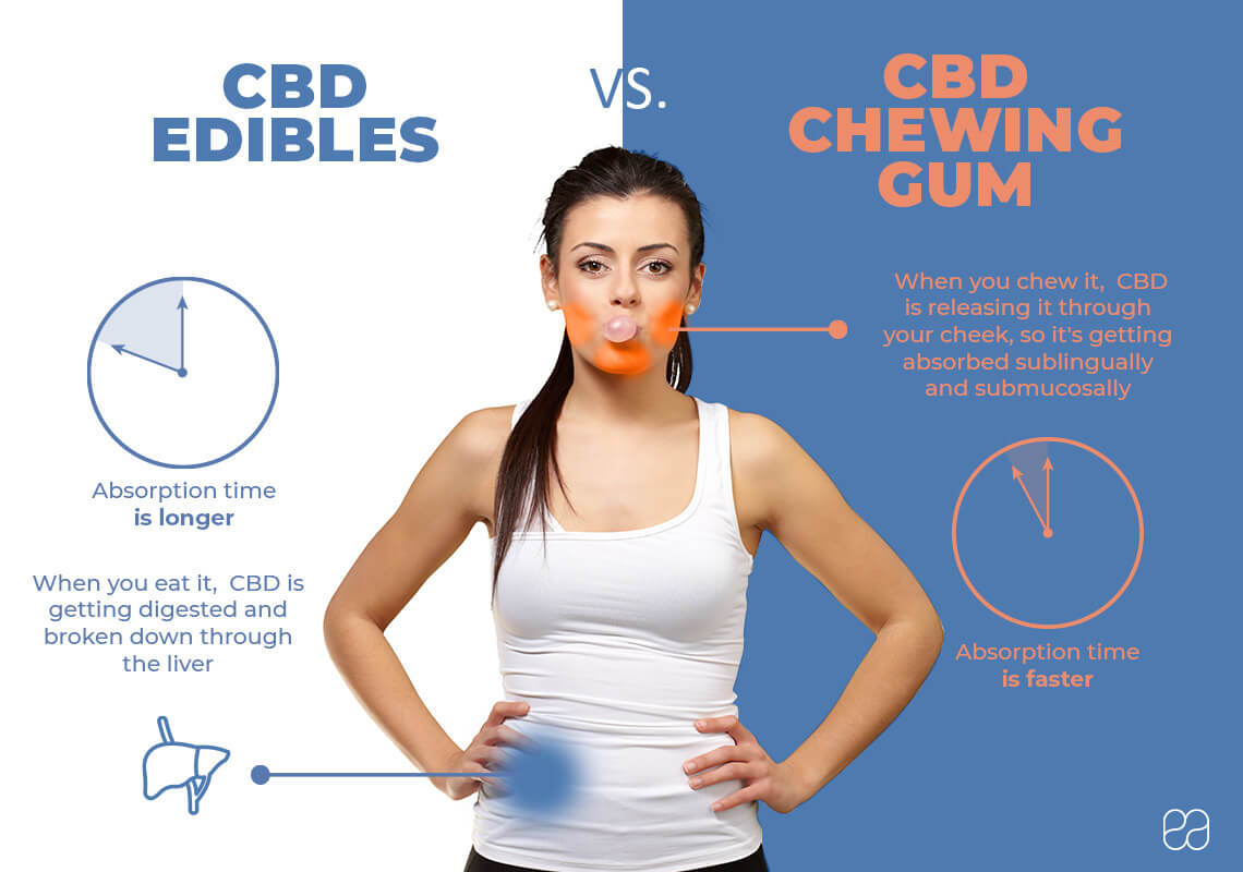 Infographic on CBD chewing gum