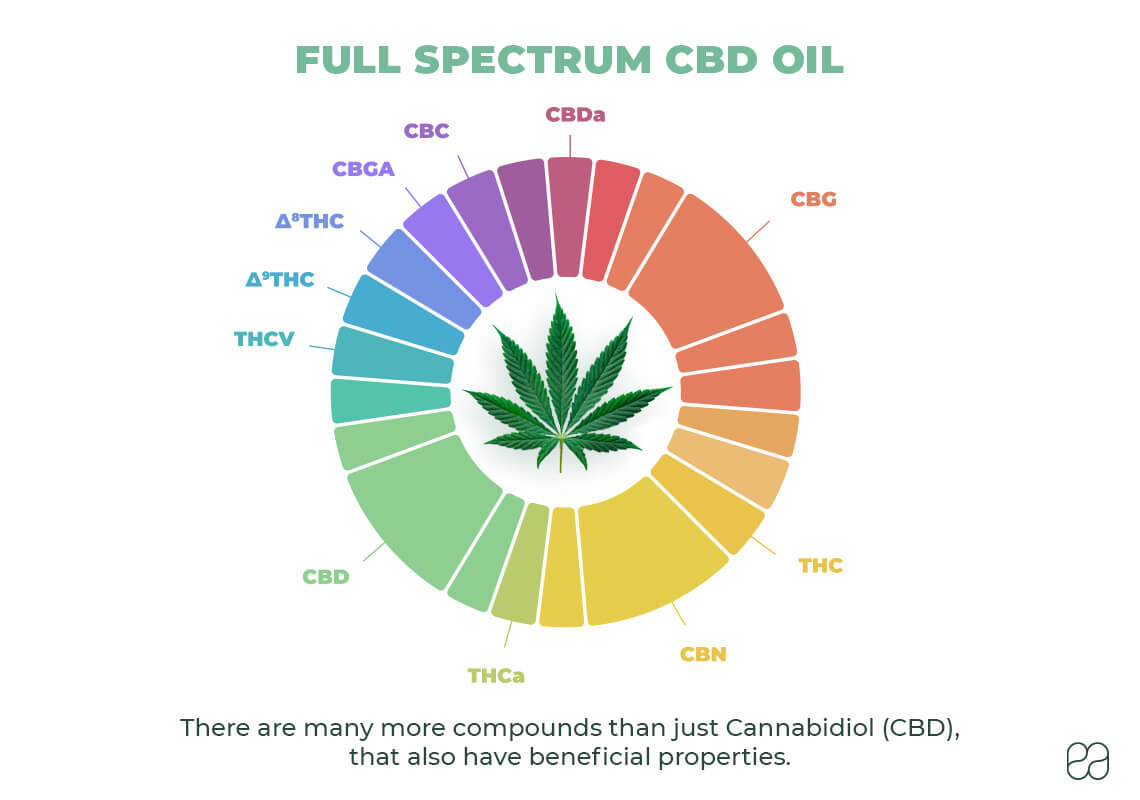 infographic about full spectrum CBD oil