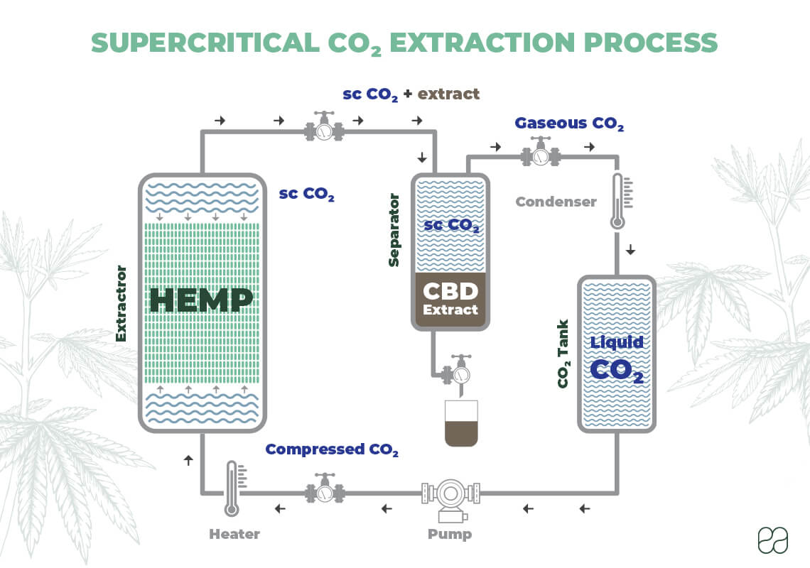 infographic about how supercritical CO2 extraction is done