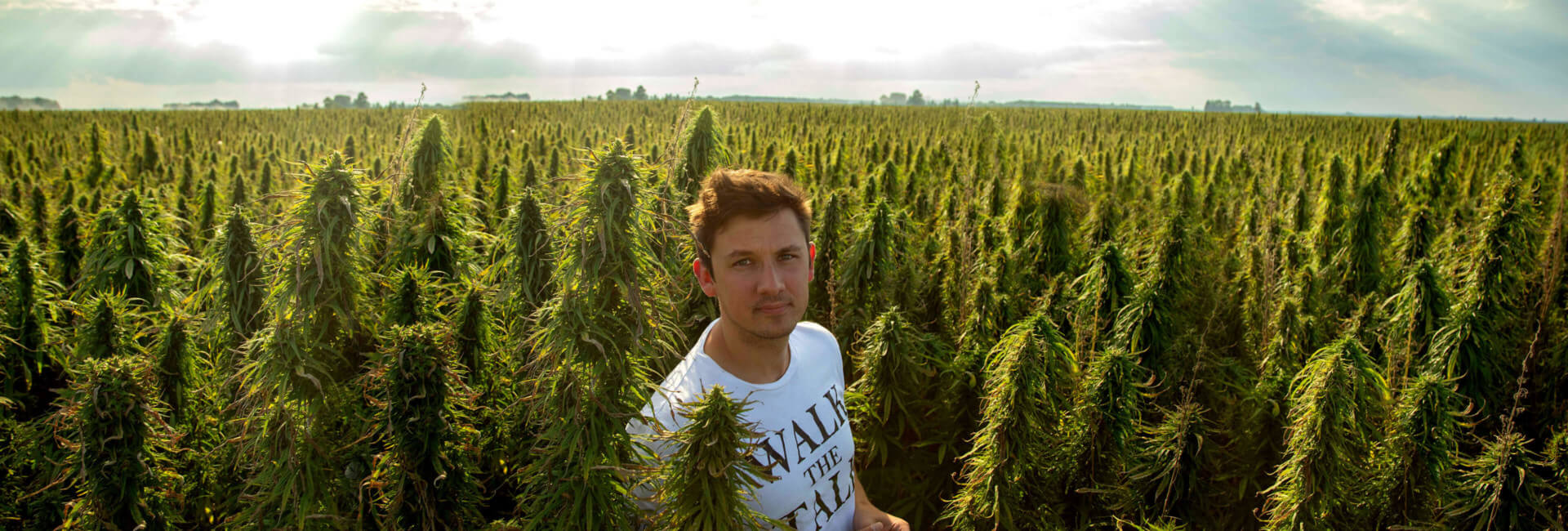 Henry Vincenty in hemp field wearing white t-shirt with words ‘walk the talk’