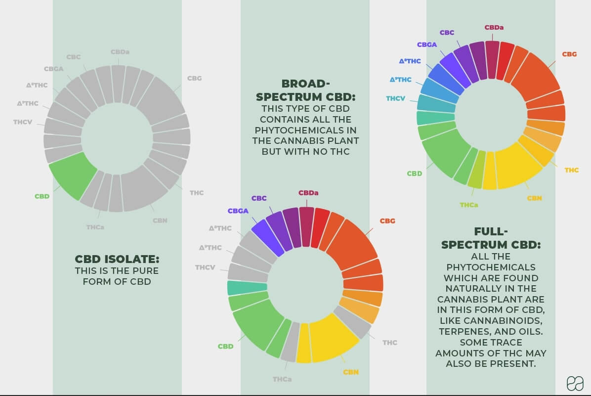 infographic on the differences between CBD isolate, broad spectrum , and full spectrum CBD