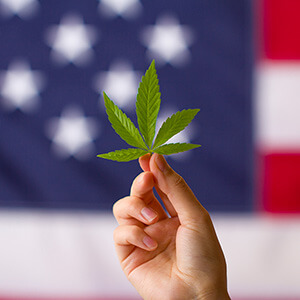 hemp leaf in front of flag with blue background and white stars