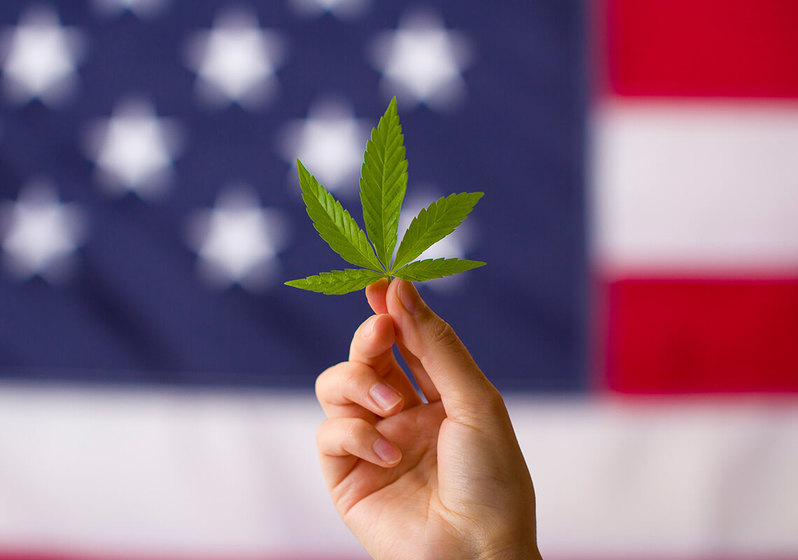 hemp leaf in front of flag with blue background and white stars