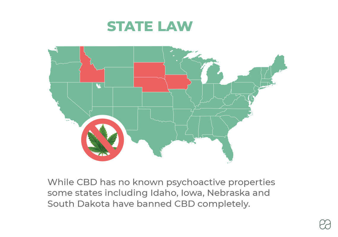 infographic of map of United States explaining where CBD is illegal 