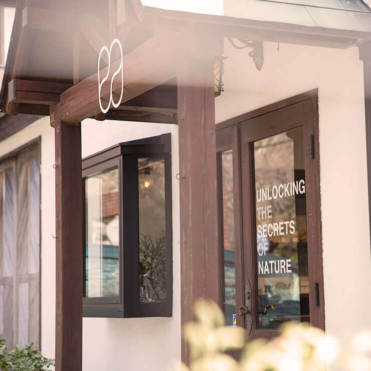 Wooden entrance of CBD store