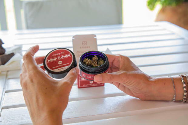 Hands holding container of red hemp flowers