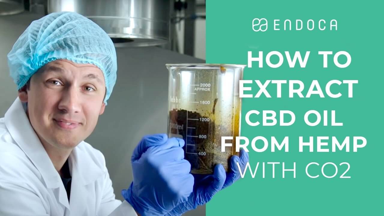 How To Extract CBD Oil From Hemp With CO2
