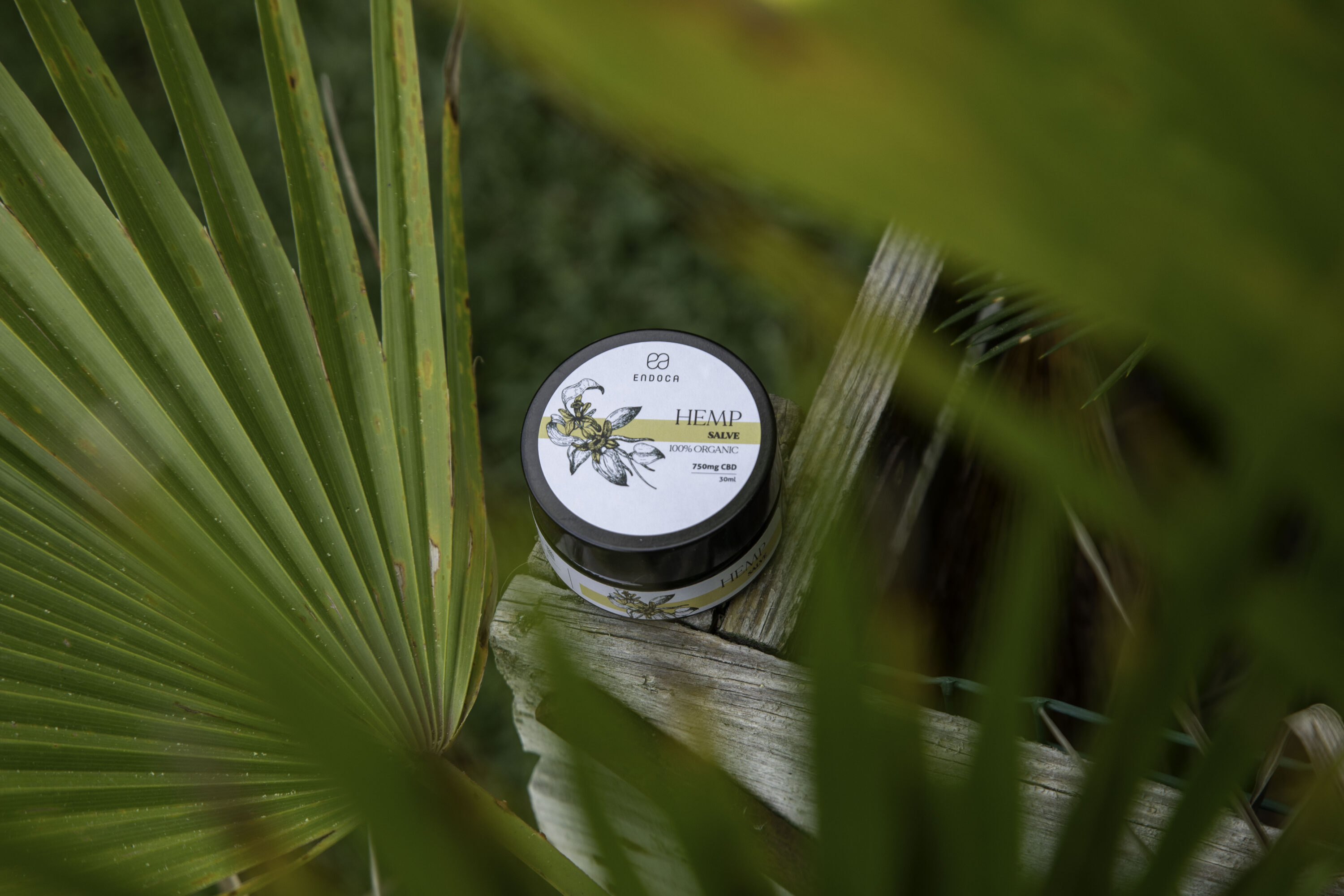 Endoca hemp salve tin resting on a green palm leaf