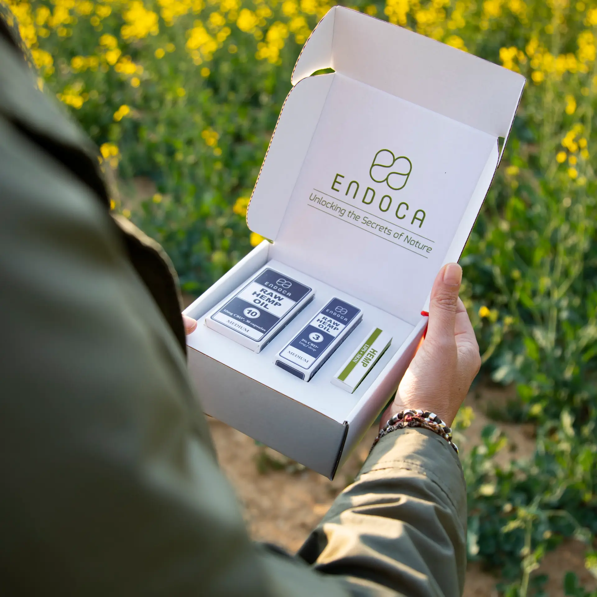 Person in a hemp field holding an open Endoca gift box of CBD products