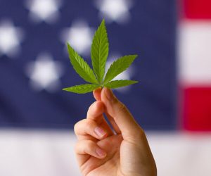Cover-CBD-legal-all-states-600x600