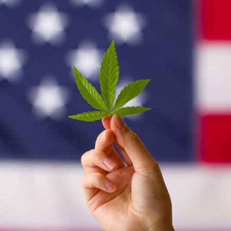 Cover-CBD-legal-all-states-600x600