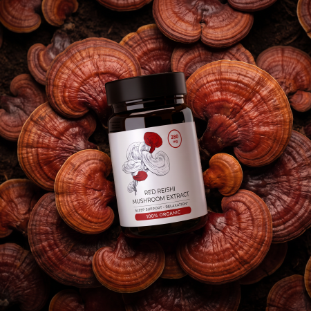 Red reishi