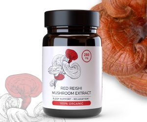 Red reishi_1
