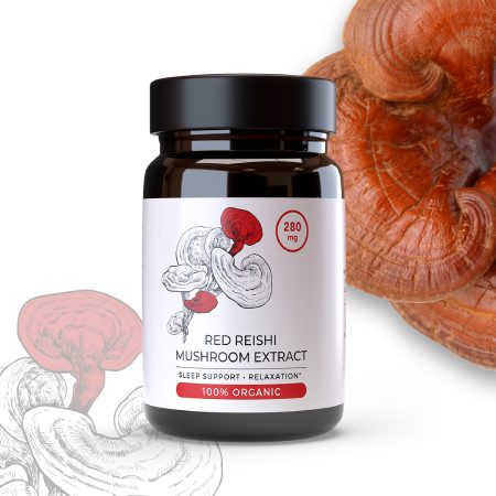 Red reishi_1